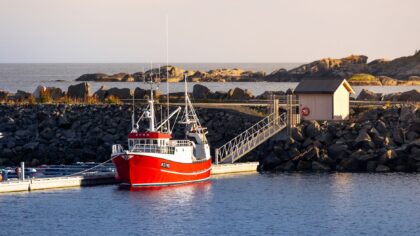 Linefanget fisk fra kysten: derfor betyr fangstmetoden mer enn du tror