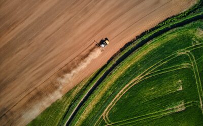 Slik kan landbruket lagre mer karbon i jorda uten å senke matproduksjonen
