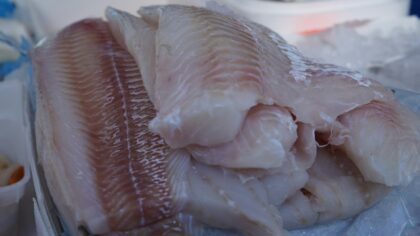 Slik lagrer du fisk og sjømat hjemme for bedre smak og mindre matsvinn