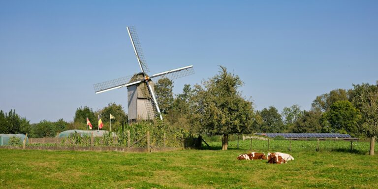 Tematisk illustrasjon