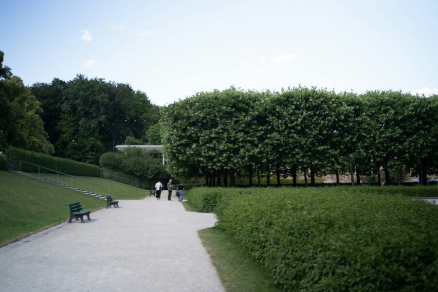 Hovedillustrasjon