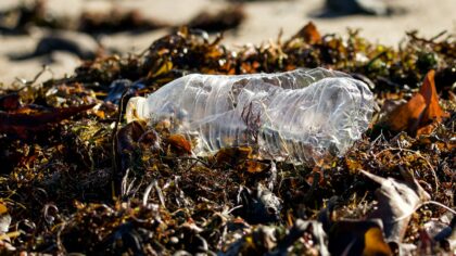 Plast i havet: praktisk guide til hvordan du faktisk kan bidra