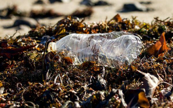 Plast i havet: praktisk guide til hvordan du faktisk kan bidra