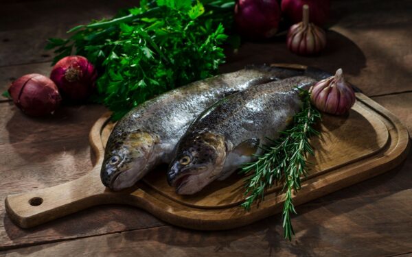 Slik bruker du hele fisken: praktisk guide til bedre ressursbruk fra havet