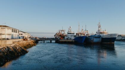 Slik tiner og bruker du sjøfrosset fisk fra norske kystsamfunn på en smart måte